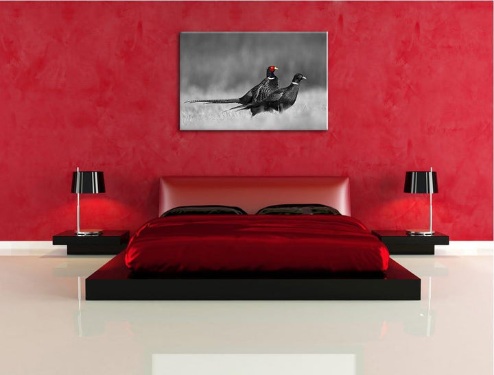 zwei Fasane auf Wiese schwarz/weiss Format: 100x70 auf Leinwand, XXL riesige Bilder fertig gerahmt m