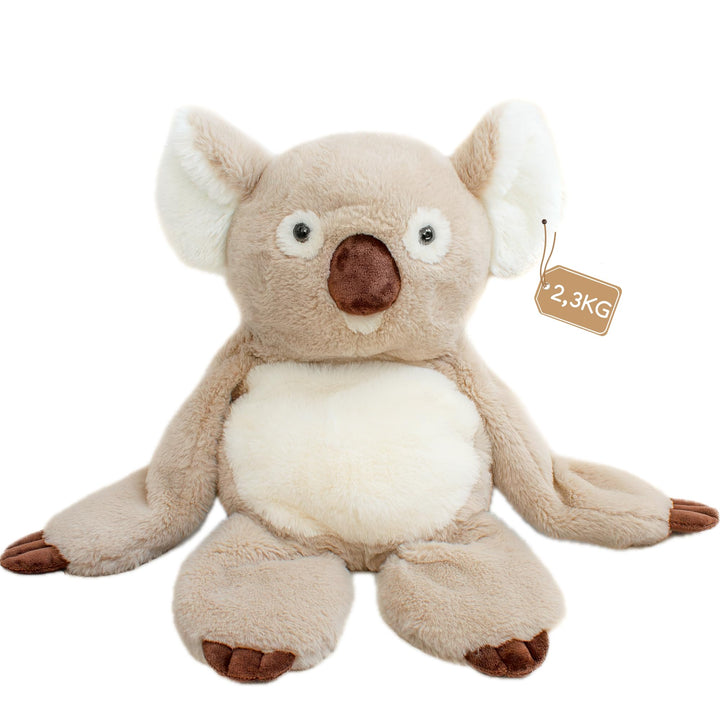DRACA Weighted Stuffed Animal Gewichtskuscheltier 2,3kg | Gewichtstiere Kinder Weighted Plush | Gewi