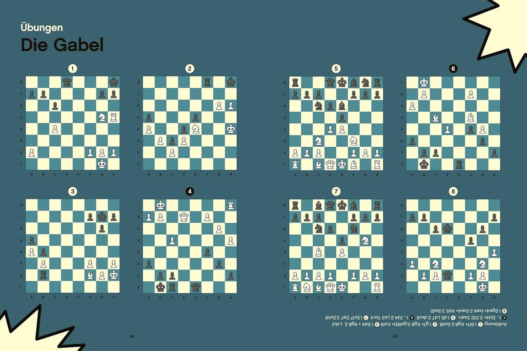 Im Schach gewinnen: Für jedes Level. Zug um Zug: 80 Wege zum Erfolg, Taschenbuch
