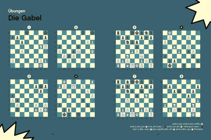 Im Schach gewinnen: Für jedes Level. Zug um Zug: 80 Wege zum Erfolg, Taschenbuch