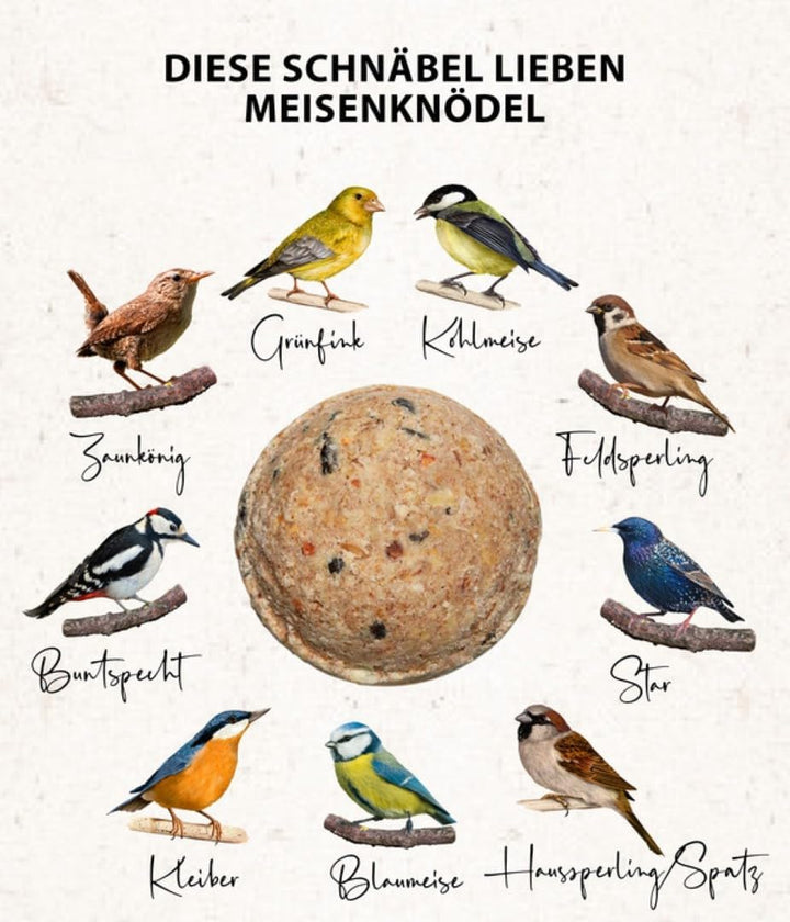 Dehner Natura Vogelfutter | Wildvogelfutter | Meisenknödel ohne Netz | energiereiches Premium Ganzja