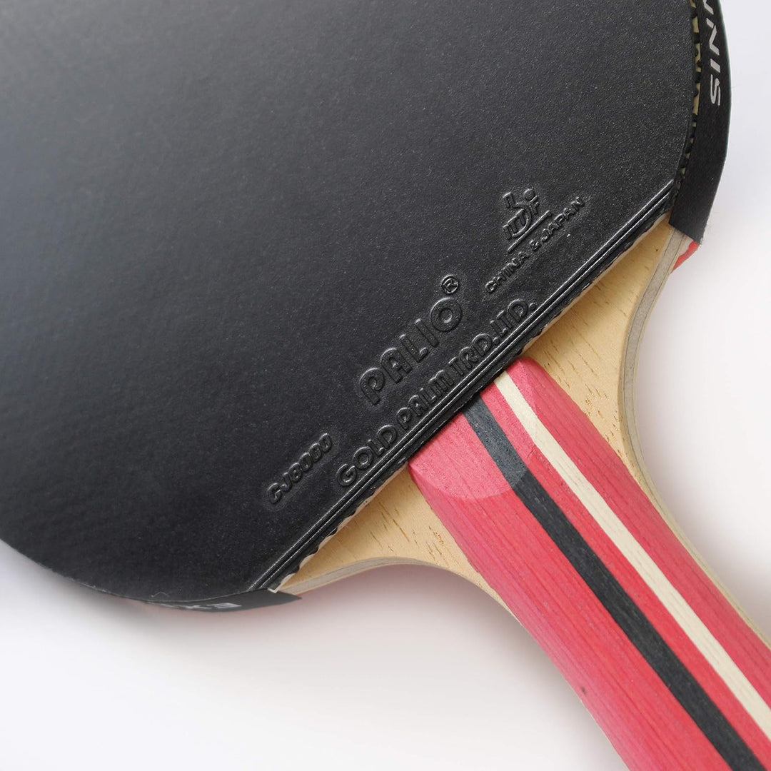 Palio Master 3.0 Tischtennisschläger mit Tasche, ITTF-geprüft, ausgestellt, für Anfänger, Ping-Pong,