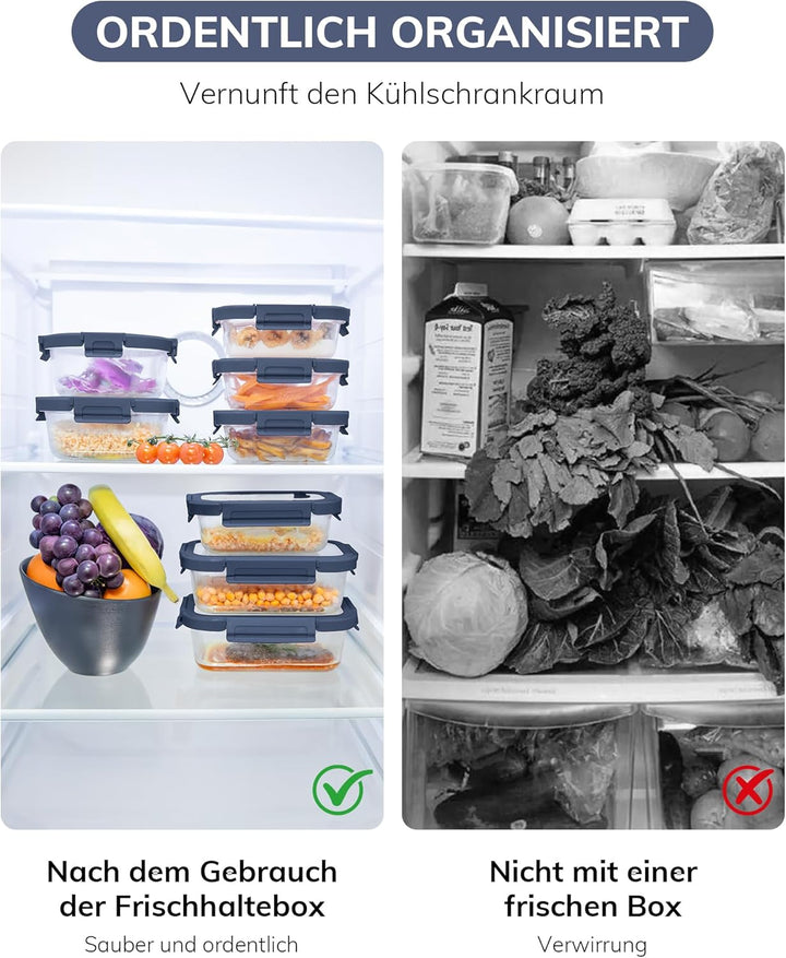 BOROHOUSE Vorratsdosen Glas 2er Set 630ml – Glas Frischhaltedosen mit Glasdeckel, luftdicht & BPA-fr