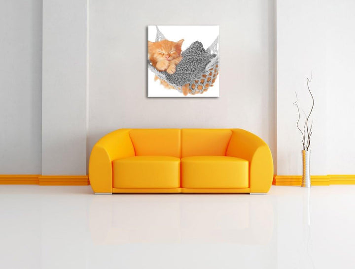Pixxprint Katzenbaby in Hängematte als Leinwandbild Quadratisch/Grösse: 70x70 / Wandbild/Kunstdruck/