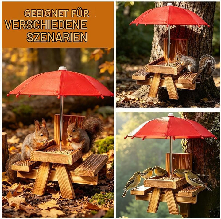 Eichhörnchen Futterhaus Wetterfest