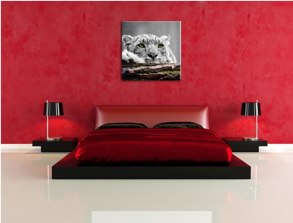 Pixxprint Schöner Gepard mit grünen Augen als Leinwandbild Quadratisch/Grösse: 70x70 / Wandbild/Kuns