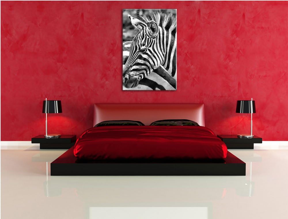 Pixxprint Monocrome, prächtiges Zebra, Format: 100x70 auf Leinwand, 100x70