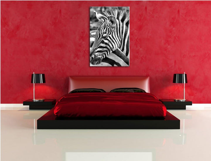 Pixxprint Monocrome, prächtiges Zebra, Format: 100x70 auf Leinwand, 100x70