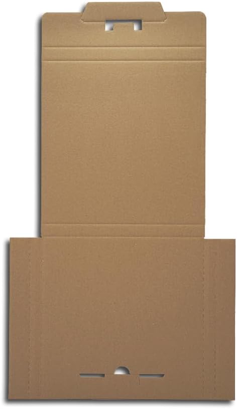 Protected LP Schallplatten Versandkartons für 3-6 LPs (50 Stück)