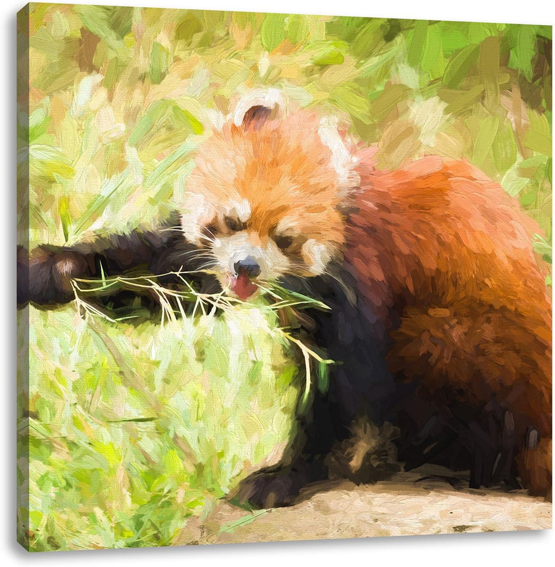 Pixxprint Niedlicher roter Panda als Leinwandbild/Grösse: 70x70 cm/Wandbild/Kunstdruck/fertig bespan