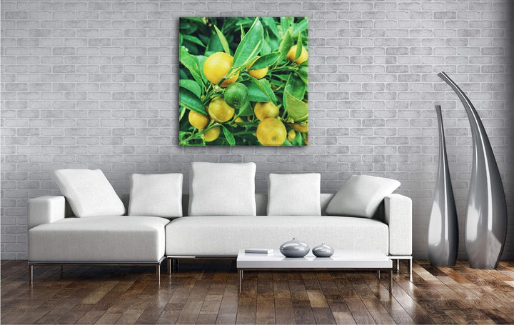 deyoli Reife Zitronen am Baum Format: 70x70 als Leinwand, Motiv fertig gerahmt auf Echtholzrahmen, H