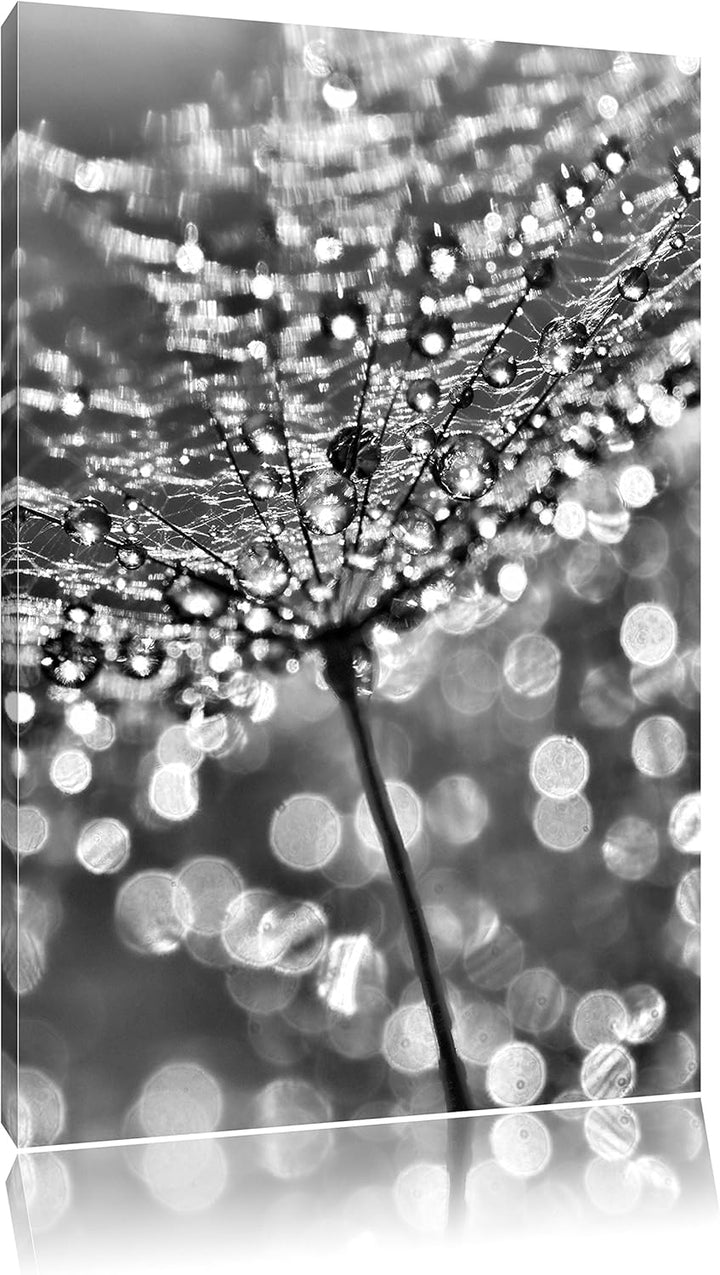 Pixxprint Morgentau als Leinwandbild/Grösse: 100x70 / Wandbild/Kunstdruck/fertig bespannt, 100x70