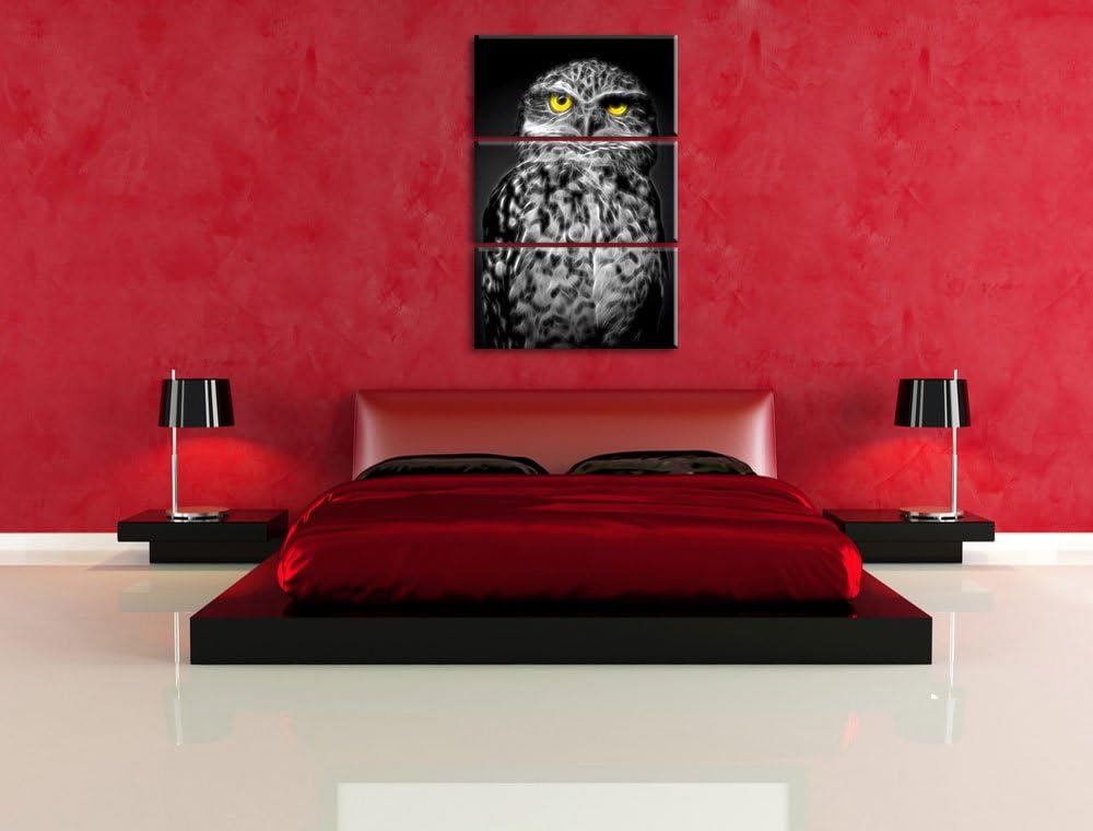 Dark kleine scheue Eule schwarz/weiss Deluxe 3-Teiler Leinwandbild 120x80 Bild auf Leinwand, XXL rie