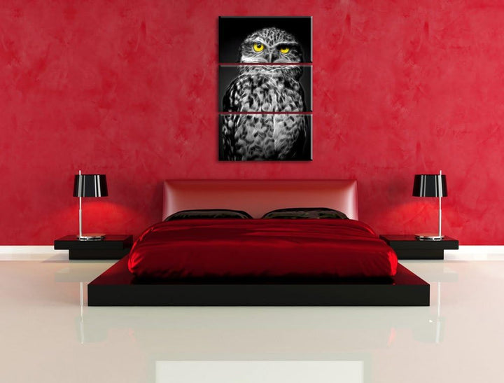 Dark kleine scheue Eule schwarz/weiss Deluxe 3-Teiler Leinwandbild 120x80 Bild auf Leinwand, XXL rie