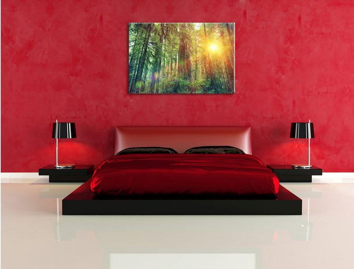 Pixxprint Wald bei Sonnenlicht als Leinwandbild | Grösse: 100x70 cm | Wandbild | Kunstdruck | fertig