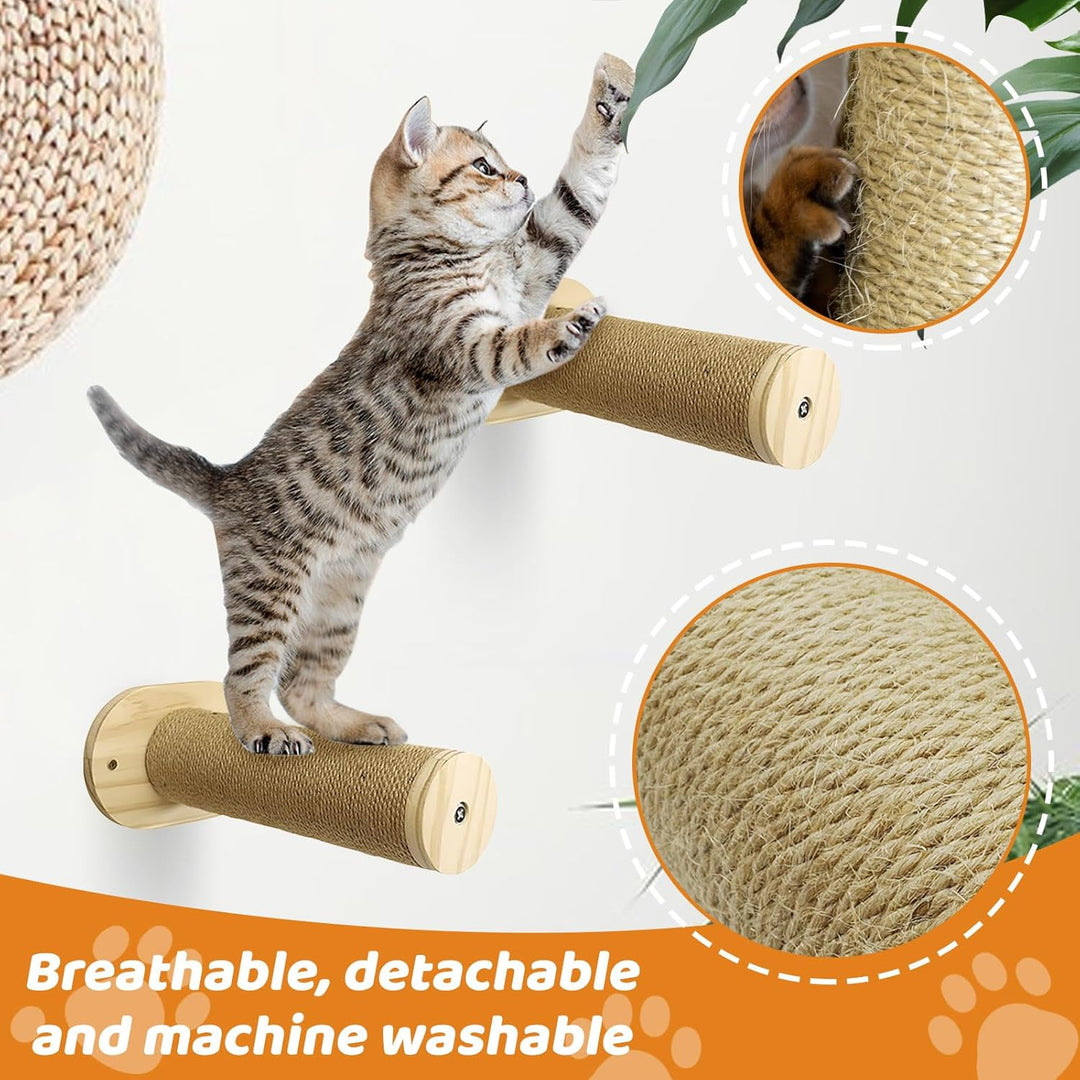 Katzen Kletterwand Set,Kletterwand Katzen XL Extra Stabil und Gross,Katzenhängematte & 2 Katzenleite