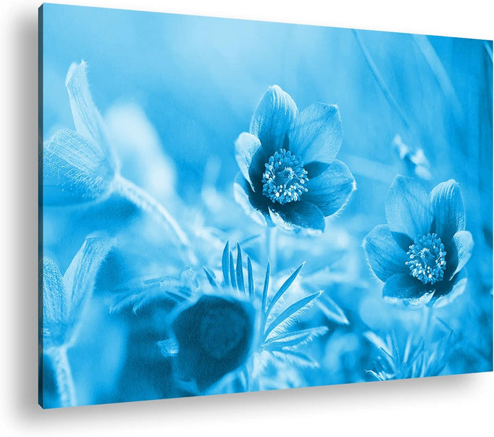 deyoli bezaubernde Blumen Format 80x60 Effekt: Monocrome Blau als Leinwandbild, Motiv fertig gerahmt