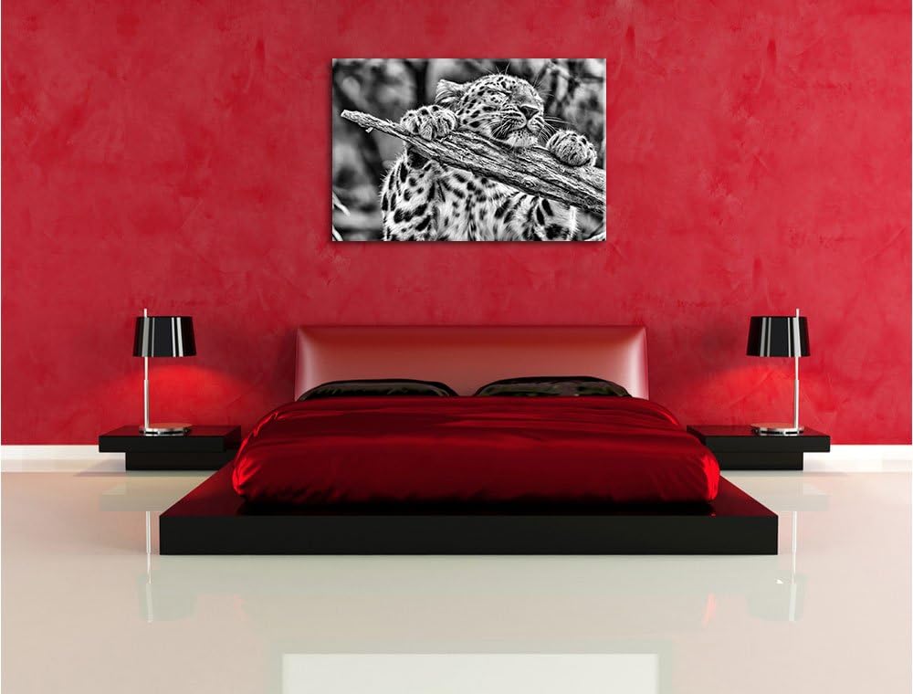 Pixxprint verspielter Leopard / 100x70cm Leinwandbild bespannt auf Holzrahmen/Wandbild Kunstdruck De