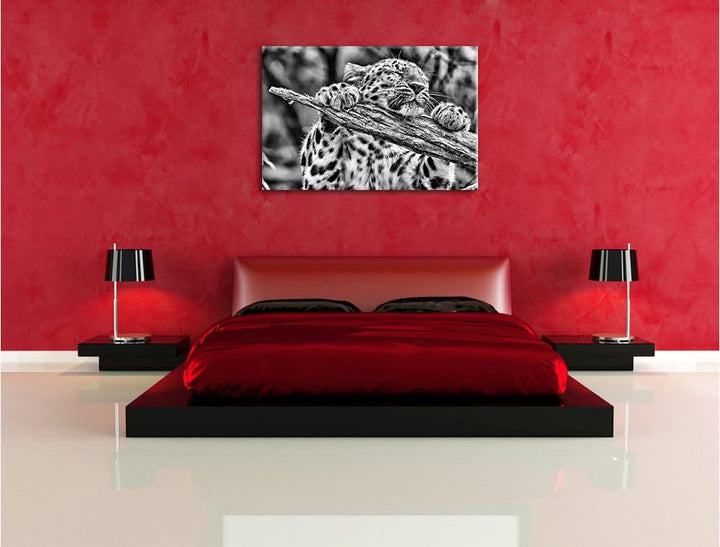 Pixxprint verspielter Leopard / 100x70cm Leinwandbild bespannt auf Holzrahmen/Wandbild Kunstdruck De