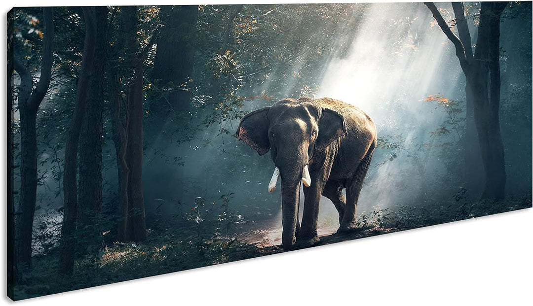 stolzer Elefant im Wald Panorama 120x60 cm als Leinwandbild, Motiv fertig gerahmt auf Echtholzrahmen