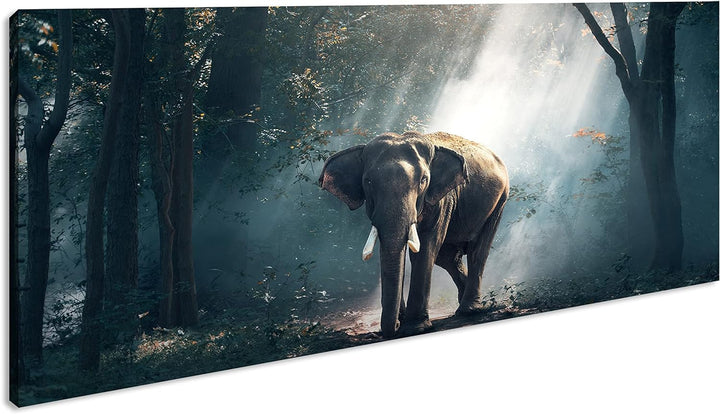 stolzer Elefant im Wald Panorama 120x60 cm als Leinwandbild, Motiv fertig gerahmt auf Echtholzrahmen