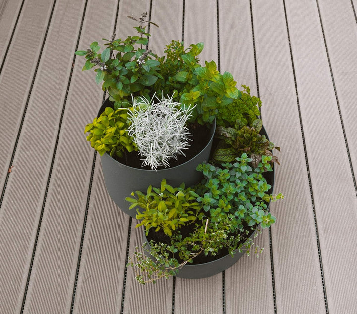 Kräuterspirale, Kräuterschnecke, Pflanzspirale aus Kunststoff, modernes Design, 35cm x Ø 50cm, grau,