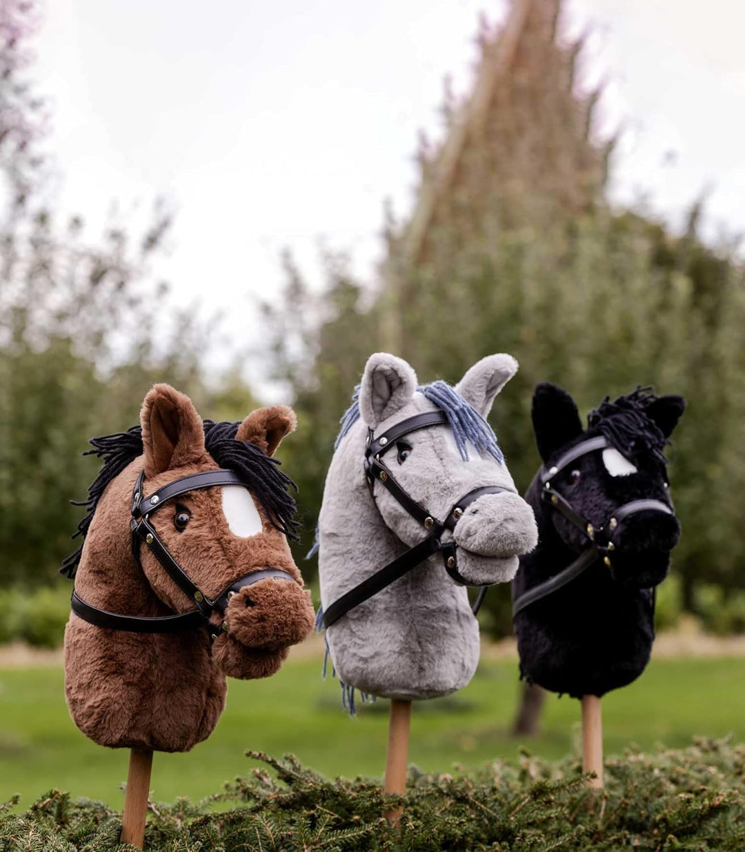 WALDHAUSEN Hobby Horse Blacky, schwarz, Schwarz