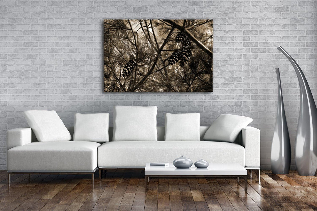 deyoli Kiefernzapfen im Wald Format: 80x60 Effekt: Sepia als Leinwandbild, Motiv fertig gerahmt auf