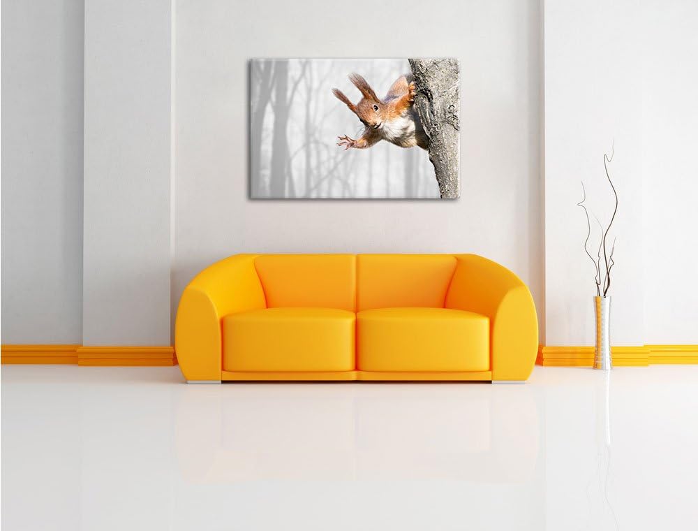 Pixxprint Neugierig rotes Eichhörnchen / 100x70cm Leinwandbild bespannt auf Holzrahmen/Wandbild Kuns