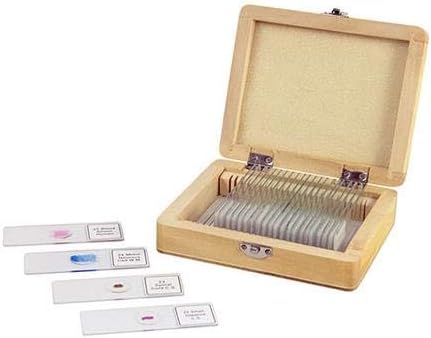 Celestron 44410 vorbereitete Mikroskop-Objektträger, Packung mit 25 Vorbereitete Objektträger, 25 St