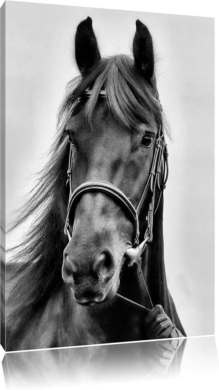 Monocrome, braunes Pferd, Format: 100x70 auf Leinwand, XXL riesige Bilder fertig gerahmt mit Keilrah