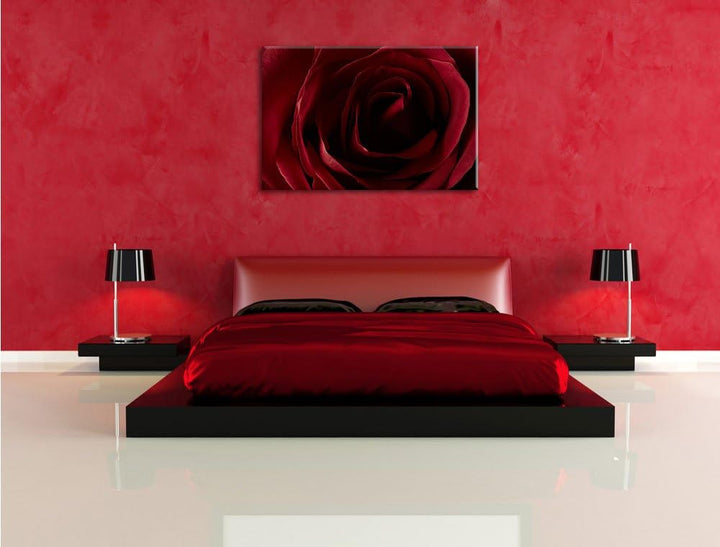 Pixxprint Rote Rose, Format: 100x70 auf Leinwand, XXL riesige Bilder fertig gerahmt mit Keilrahmen,