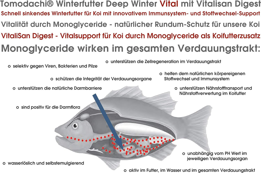 Winterfutter Koi Tosai Koifutter antibakteriell Monoglyceride Sinkfutter Koi Gesundheitsfutter für d