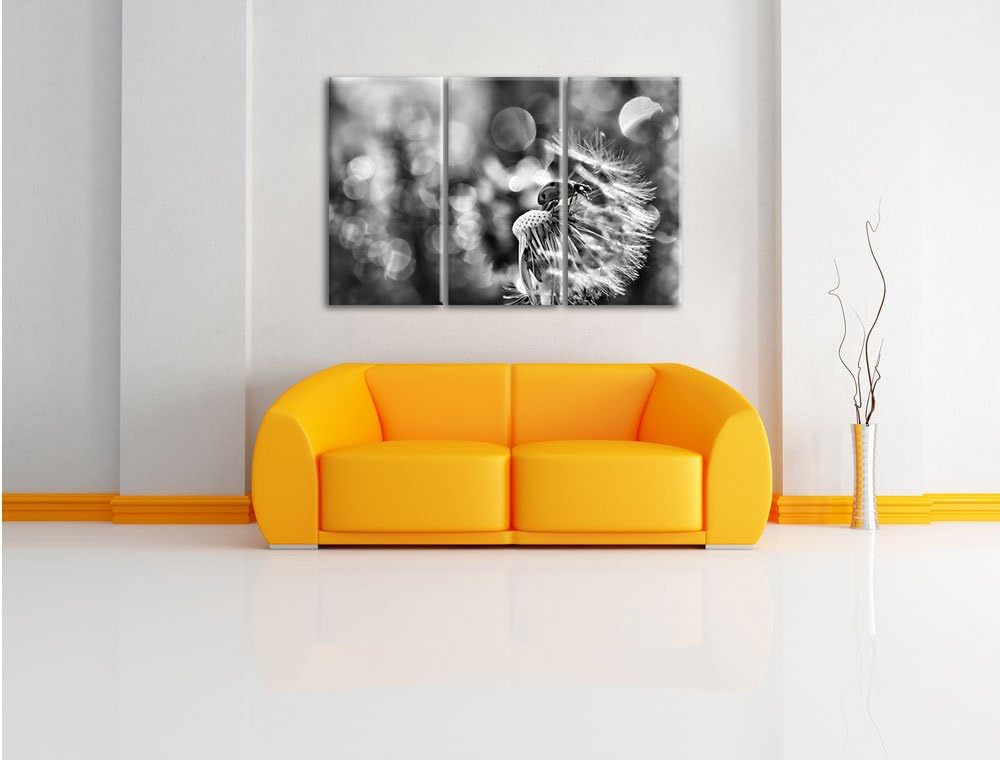 Pixxprint Marienkäfer auf Pusteblume als Leinwandbild/Grösse: 3 Teilig (120x80) cm/Wandbild/Kunstdru