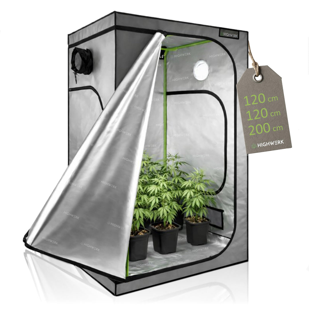 Zelsius Growzelt "MyHomeGrow" Grow tent | Indoor Growbox | Growroom Growschrank Darkroom Pflanzenzel