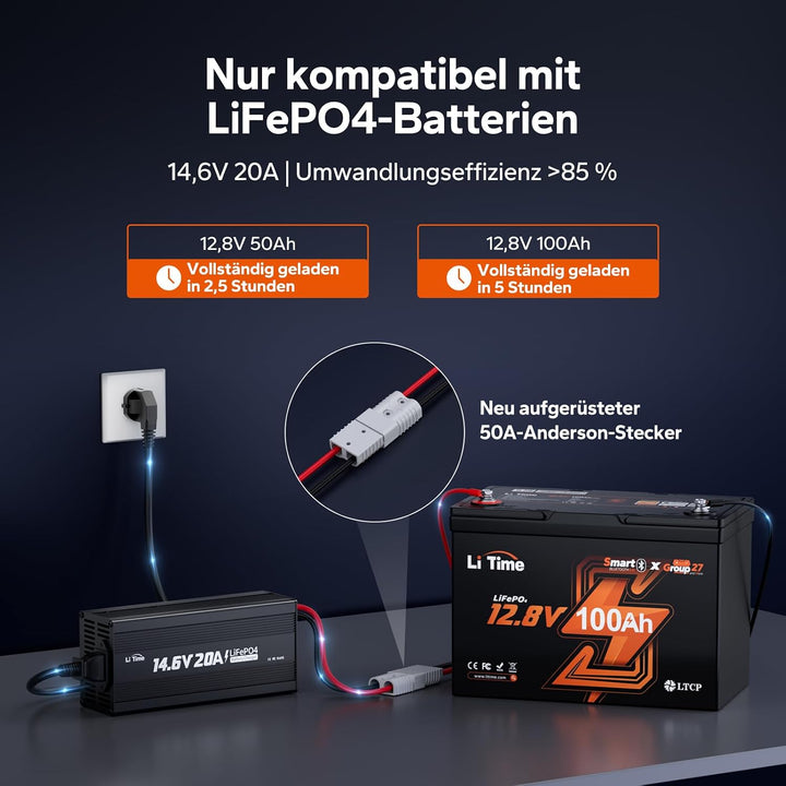 LiTime 14.6V 20A Lithium Batterieladegerät 12V LiFePO4 Batterieladegerät AC-DC Smart Charger mit And