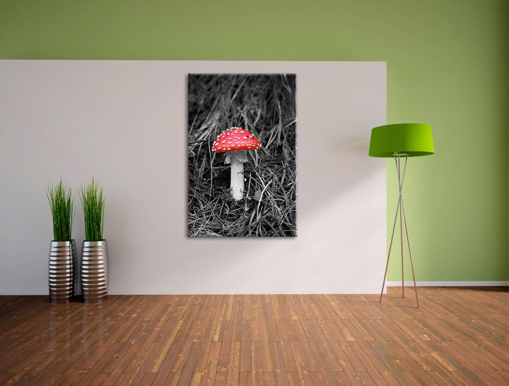 kleiner Fliegenpilz auf Waldboden schwarz/weiss auf Leinwand, XXL riesige Bilder fertig gerahmt mit