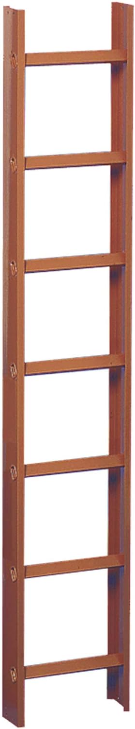 Dachleiter 2,0m Rot beschichtet