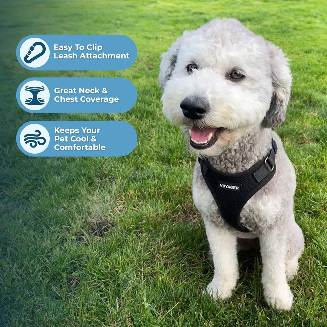 Best Pet Supplies Voyager Step-In Lock Haustiergeschirr – Allwetter-Netz, verstellbares Step-in-Gesc