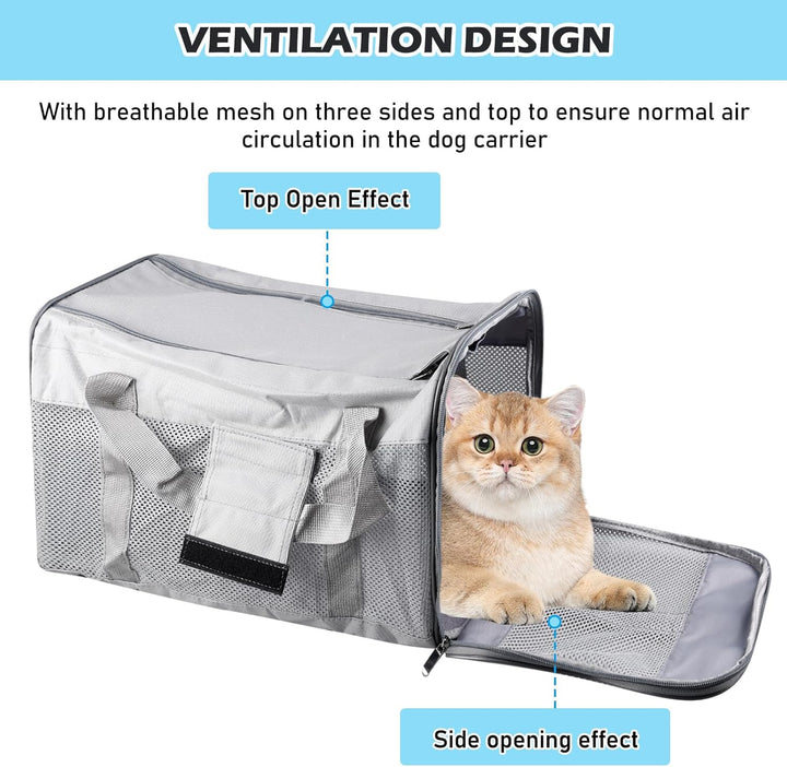 BYZESTY Transportbox Katze Hund Katzentransportbox Hundebox Faltbar Hundetransportbox Katzen Transpo