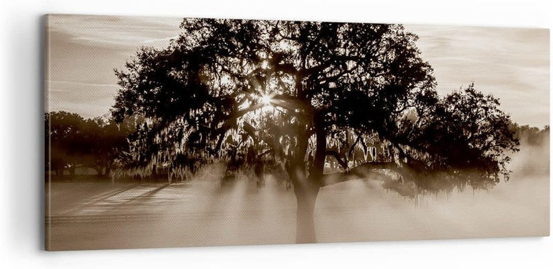 Panorama Bilder auf Leinwand 100x40cm Leinwandbild mit Rahmen Baum Feld Natur Gross Wanddeko Bild Sc