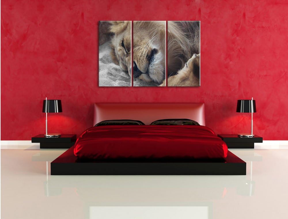 Pixxprint schlafender Löwe als Leinwandbild | Grösse: 3 Teilig (120x80) | Wandbild| Kunstdruck | fer