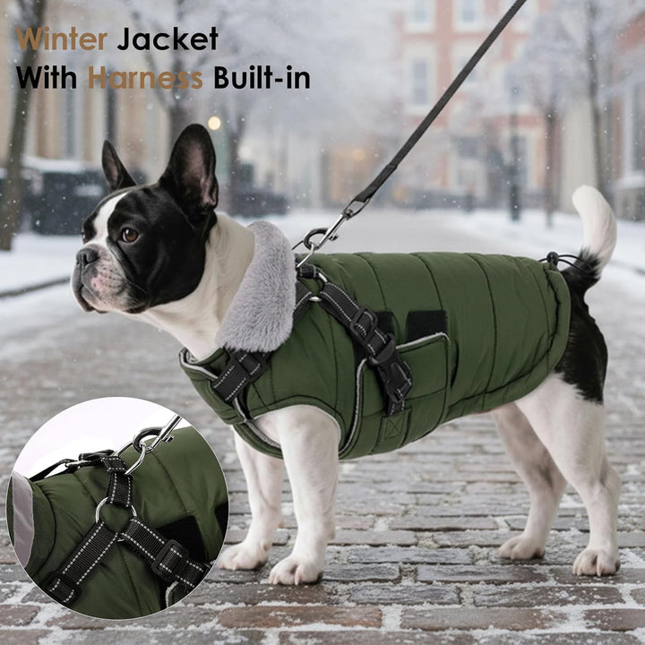 ASENKU Hundemantel für Kleine Hunde mit Geschirr, Warme Fleece Hundemantel Winter Wasserdicht Mit Br