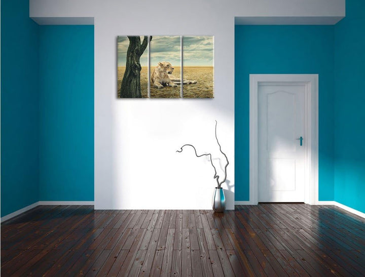 Pixxprint Löwin Ruhe Savanne 3-Teiler Leinwandbild 120x80 Bild auf Leinwand