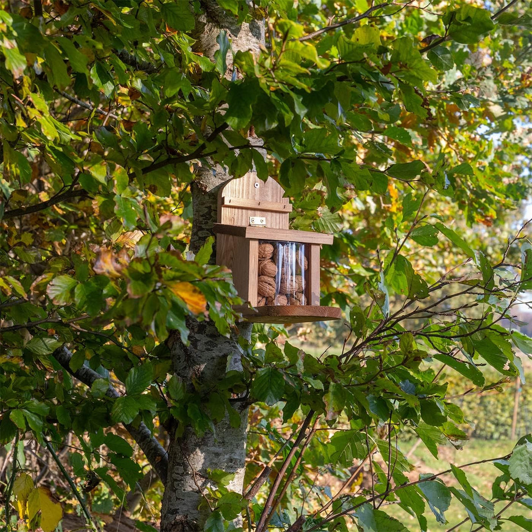 VOSS.garden Eichhörnchen Futterstation Kiefernholz wetterbeständig Futterhaus