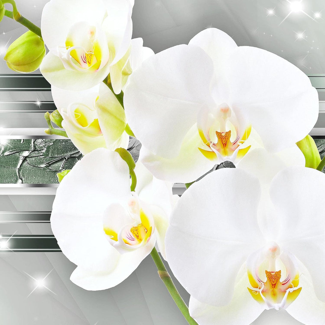 Runa Art Wandbilder Blumen Orchidee 5 Teilig Bild auf Vlies Leinwand Deko Wohnzimmer Abstrakt Grün S