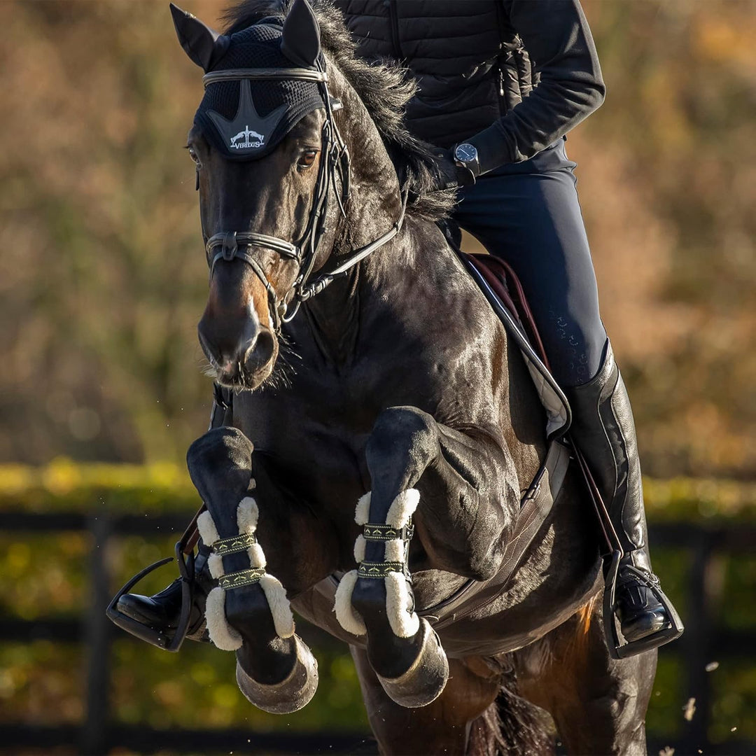 Veredus KV Gel Vento STS Front with Sheepkin Tendon Boot Large Black