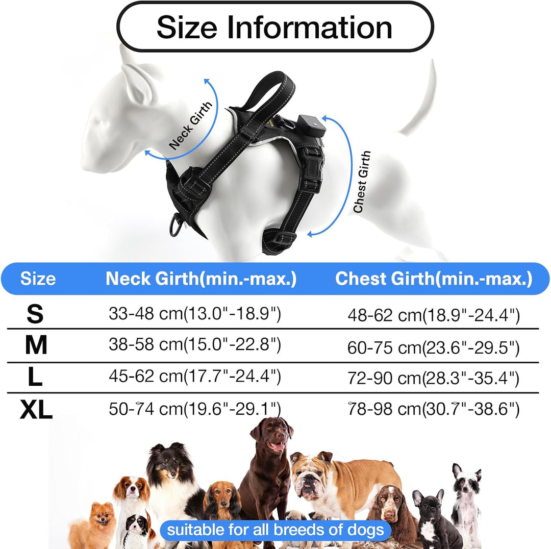 MASBRILL Hundegeschirr Leuchtend Aufladbar, LED Verstellbar Reflektierend mit Griff, Weich Gepolster