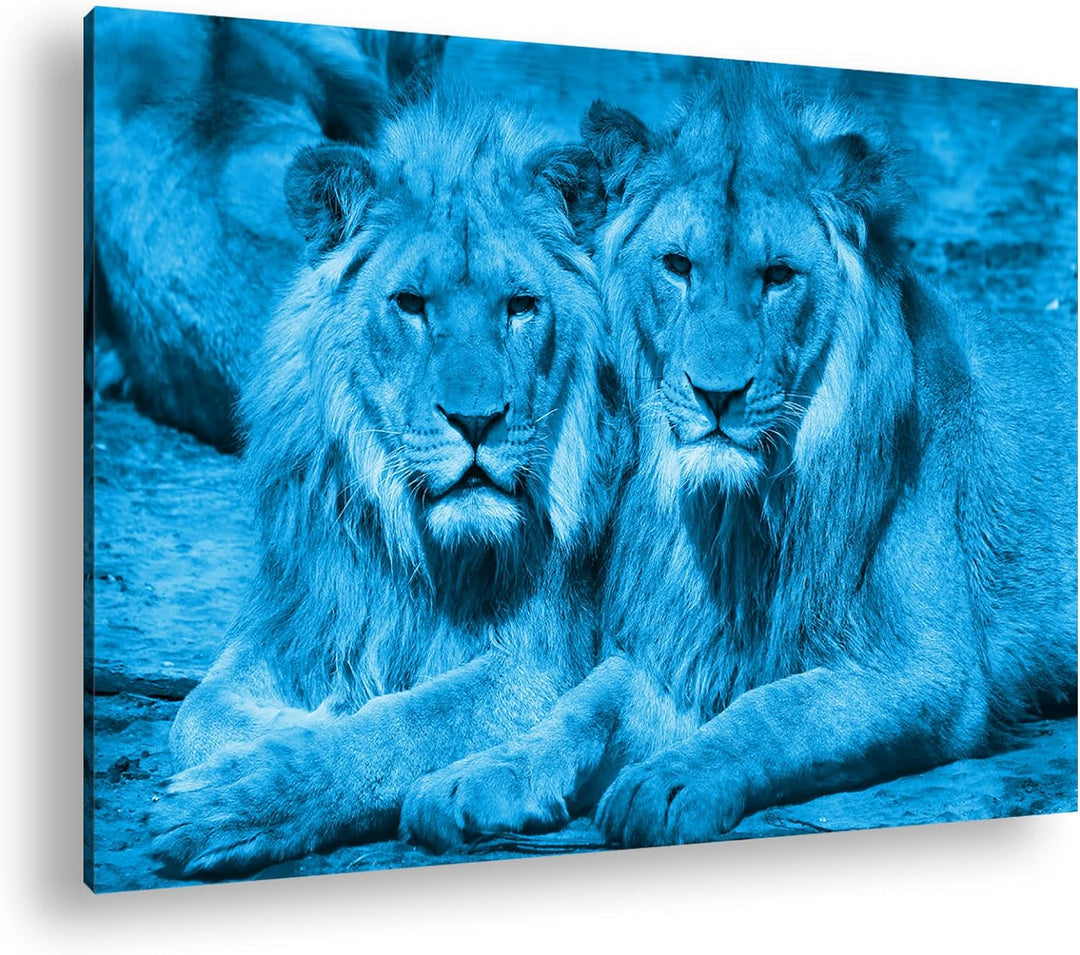 deyoli Atemberaubende Löwen Format 80x60 Effekt: Monocrome Blau als Leinwandbild, Motiv fertig gerah