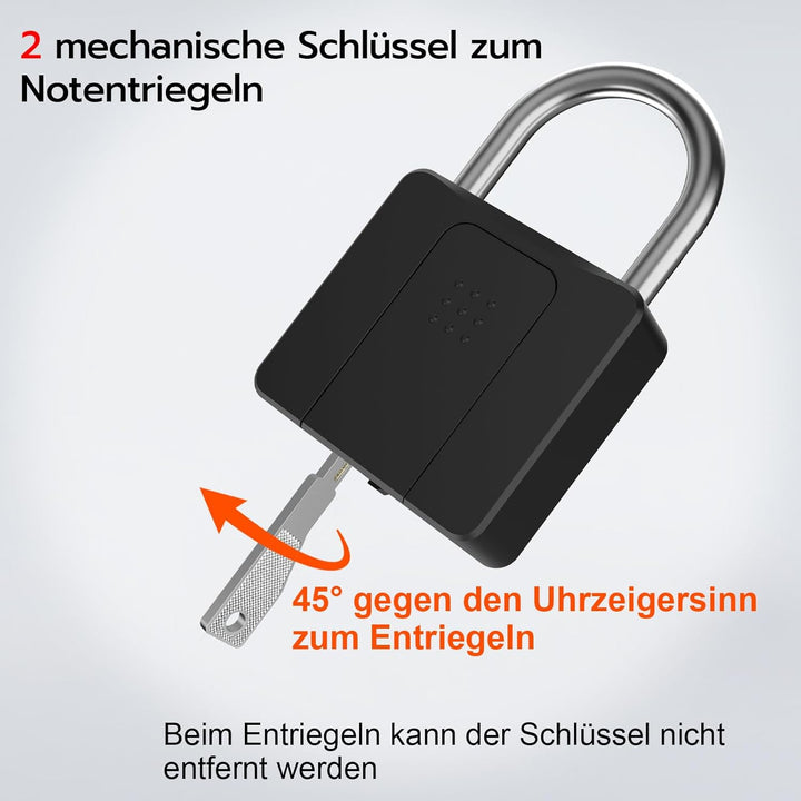Schloss Fingerabdruck, Eseesmart Vorhängeschloss, Schloss mit Schlüssel, Fingerabdruck, App, Grosses